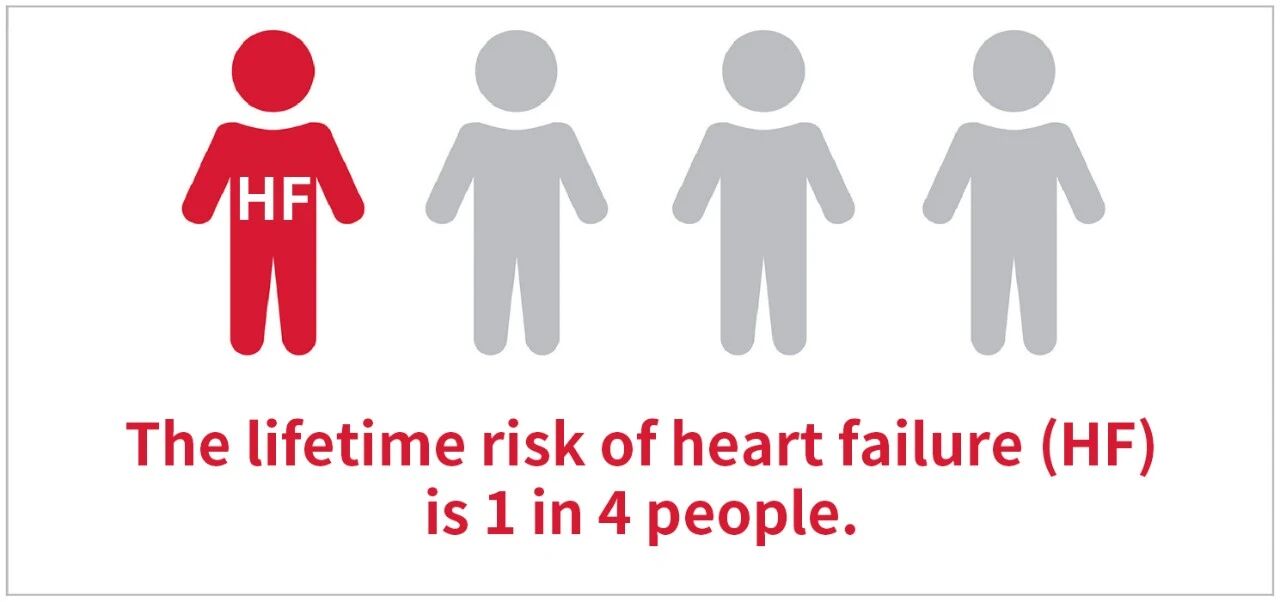 新品上市 | 心衰诊断双保障——聚焦心衰精准诊断，我们从未止步！